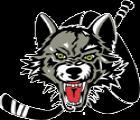  Chicago Wolves
