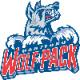 Hartford Wolf Pack